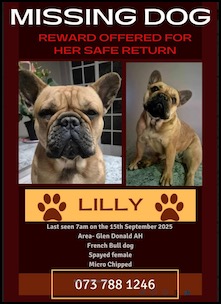 French bulldog on missing poster