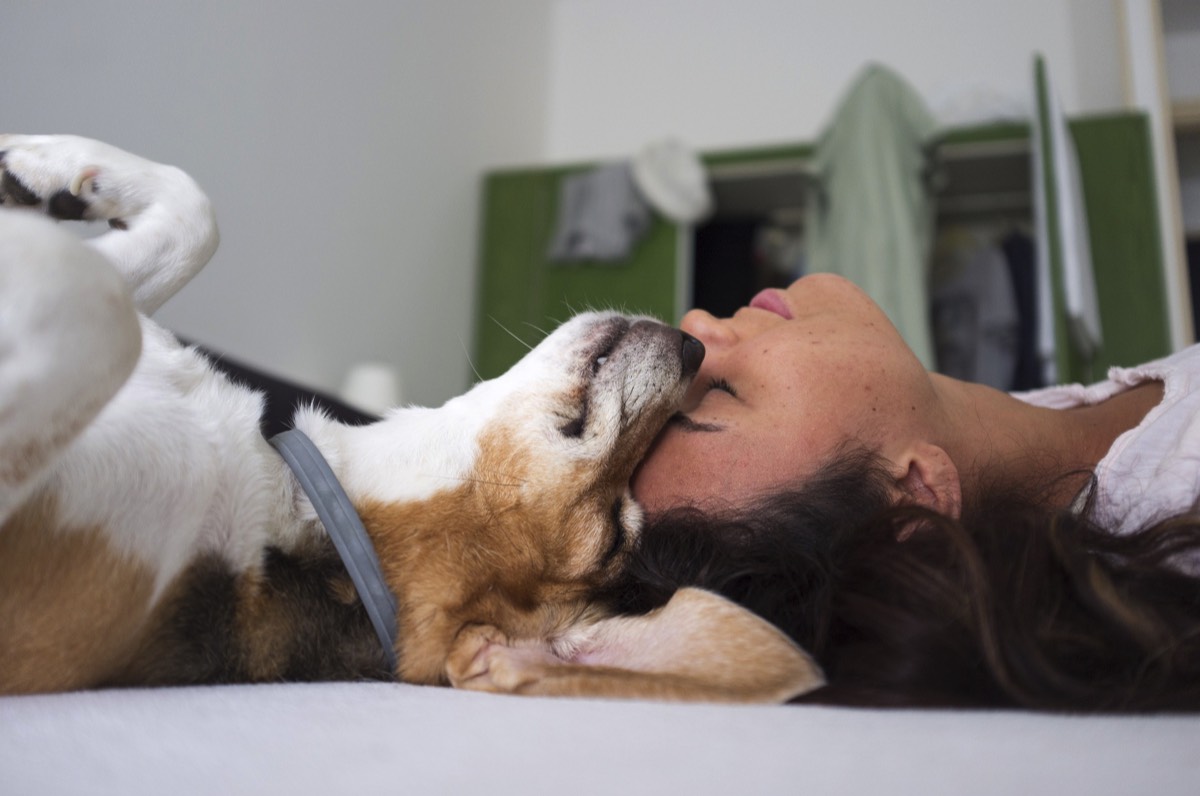 Dog and Woman sleeping head to head