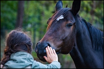 Woman touching horse