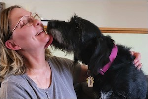 Schnauzer dog licking woman