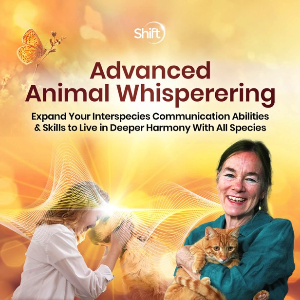 Woman with orange tabby cat