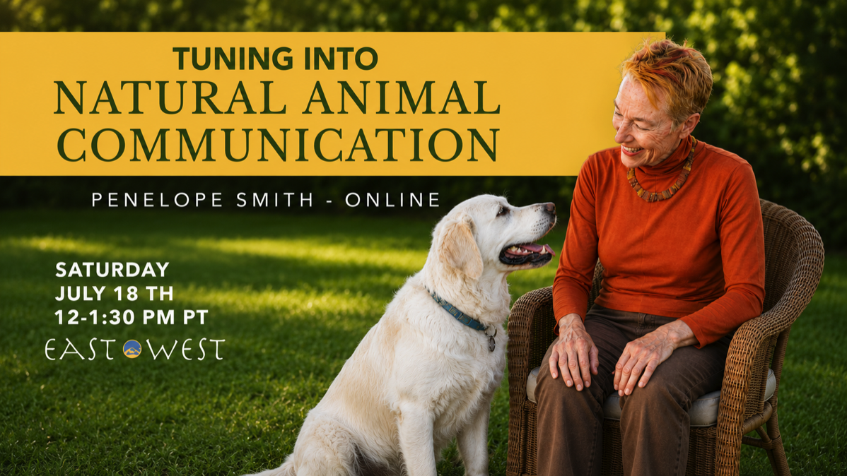 Woman seated in chair looking at golden retriever