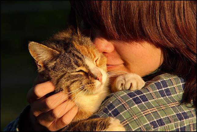 Cat on girl's shoulder