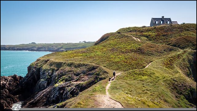 Dog and person walking on cliff toward home