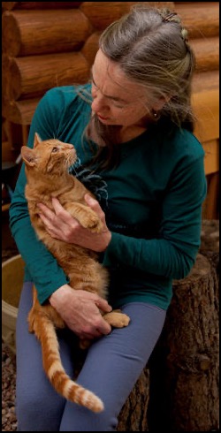 Penelope-Smith looking at Jerry orange tabby cat