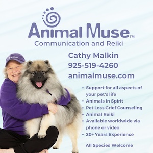 Cathy Malkin Display Ad 2022 3x3