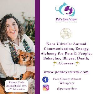 Kara Udziela Pet&#39;s Eye View 2021 copy