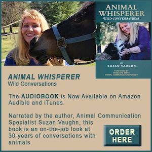 Suzan Vaughn Audiobook 2023 copy