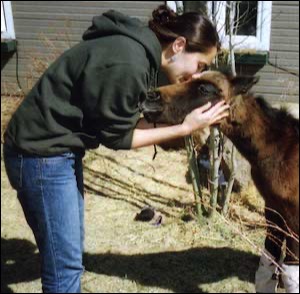 Woman leaning to kiss small horse