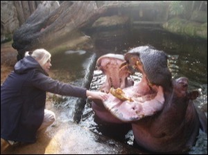 Woman with 2 hippos