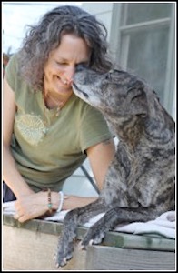 Dog kissing woman