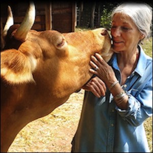 Woman with golden cow