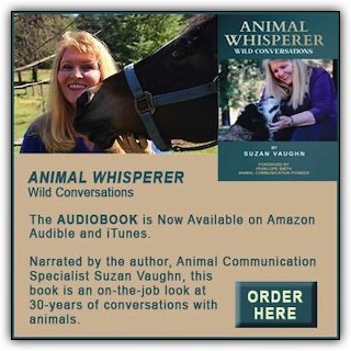 Woman holding horse with book cover