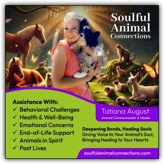 Woman holding dog surrounded by other animals