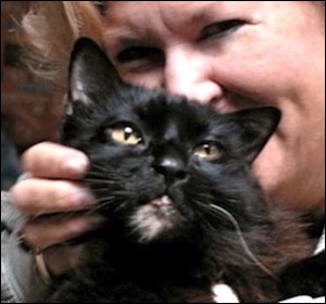 Woman with black cat in front of face