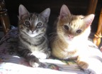 Lila & Jerry portrait web.jpg