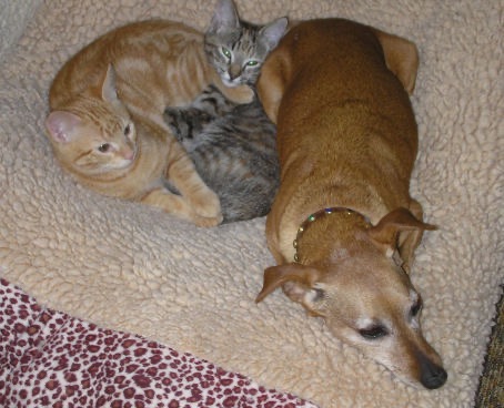Jerry, Lila, Belinda