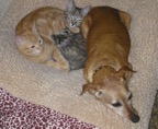 Belinda, Jerry, Lila 11-10 web.jpg