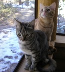 Lila & Jerry front porch 1-11.jpg