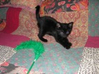 20110503_9.JPG