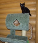 Jerry & Ziggy 5-15-11 web.jpg