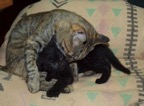 Lila & Ziggy 5-6-11 web.jpg