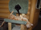 20110701_43.JPG