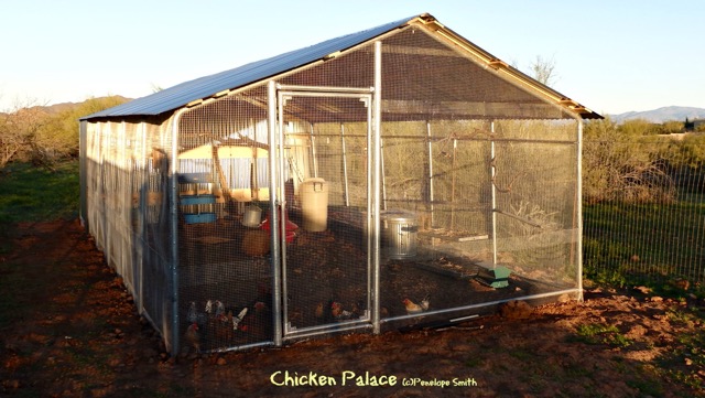 Chicken Palace