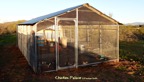 Chicken Palace