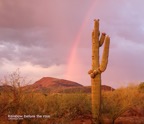 Rainbow and Saquaro
