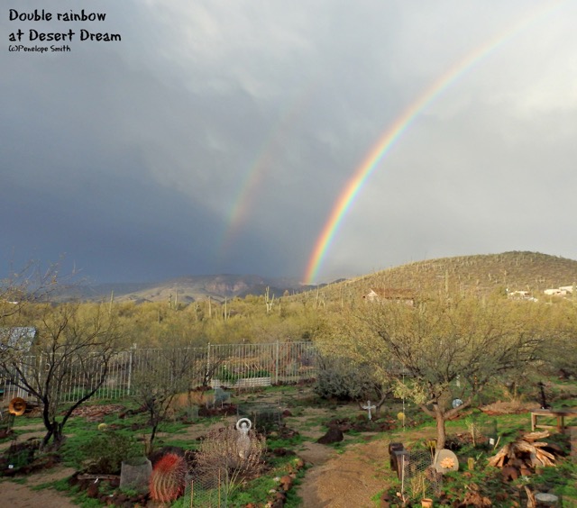Double rainbow with garden view