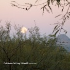 Full Moonset