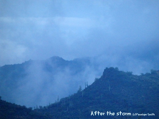 After the storm