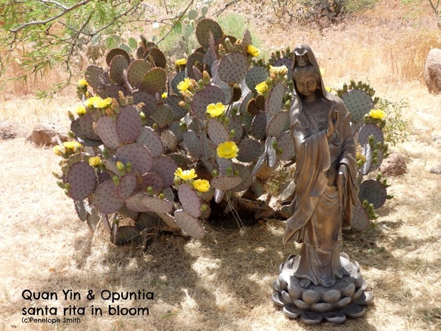 Quan Yin & purple prickly pear cactus