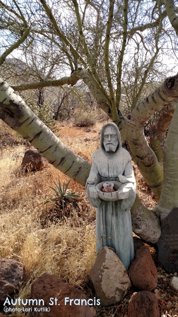 Autumn St. Francis