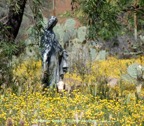 Sonoran Desert Divine Mother