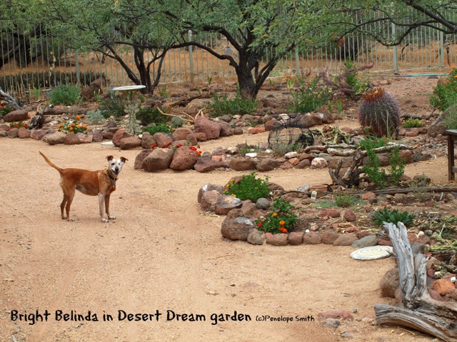 Belinda in garden