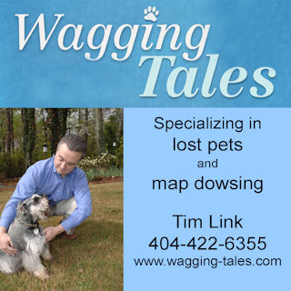 tim-link-wt-ad_-web